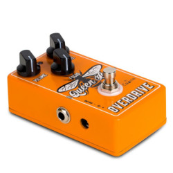 CALINE CP-503 - Queen Bee...