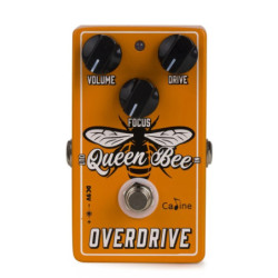 CALINE CP-503 - Queen Bee...