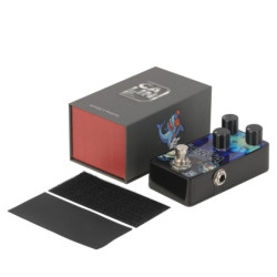 CALINE G-003 - Orca Chorus