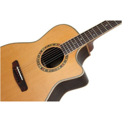 SCHECTER SCH-SGR-2A SYNYSTER