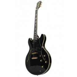 SIRE H7V BK - Larry Carlton...
