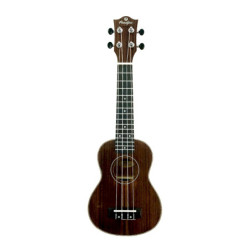 PRODIPE GUITARS BS220 -...