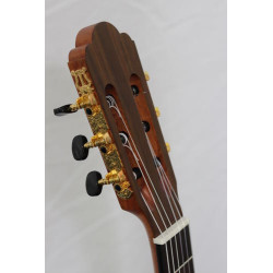 PRODIPE GUITARS PB80RAVW