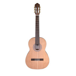 PRODIPE GUITARS PB80RAVW