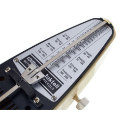 WITTNER PICCOLO 831 -...