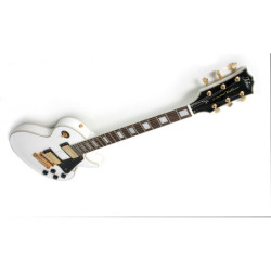 WARWICK GNOME CAB 10/8 -...