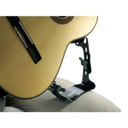 WARWICK GNOME CAB 10/8 -...