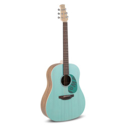 GUITARE FOLK APPLAUSE Jump...