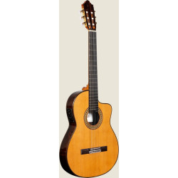 FURCH BLUE DC CM LRBaggs...