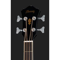 IBANEZ SA260 FM TGB