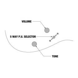 IBANEZ TSA30 - TubeScreamer...
