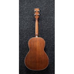 BASSE ACOUSTIQUE IBANEZ...