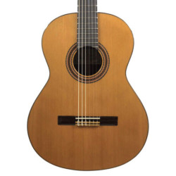 PACO CASTILLO 201 -...