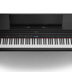 ROLAND KSC-72-BK - Support...
