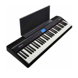 ROLAND BLUES CUBE - Hot...
