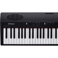 ROLAND KSC FP10 - Stand...