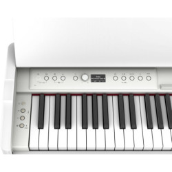 BOSS OC-5 - Octave