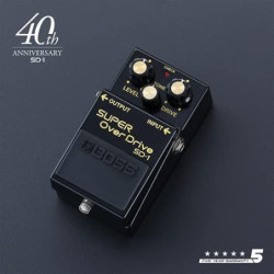 BOSS RE-2 - Space Echo