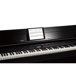 ROLAND LX5-CH