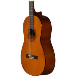 YAMAHA HS650WA - Pied Charley