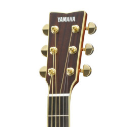 YAMAHA TRBX174EW NT - Manguier
