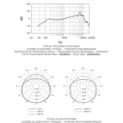 MARSHALL DSL20C - Combo