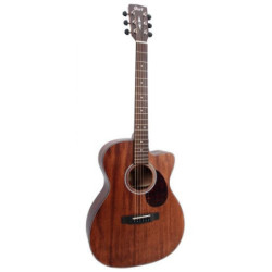 BREEDLOVE PUC21CE - Pursuit...