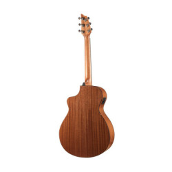 BREEDLOVE PUI31E - Pursuit...