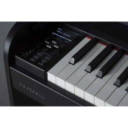 STOCK B - CORT X300 FBL