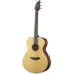 BREEDLOVE DSC210 -...