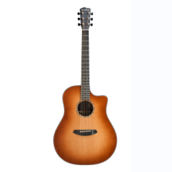 BREEDLOVE ORO66E - Oregon...