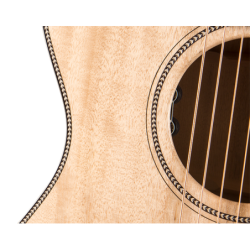 BREEDLOVE PSD21CES  -...