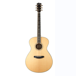 BREEDLOVE DSC210 -...