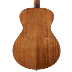 BREEDLOVE DSC210 -...