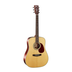 GUITARE CORT EARTH 80 NS