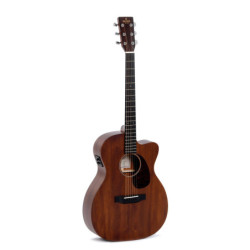 BREEDLOVE DSC210 -...