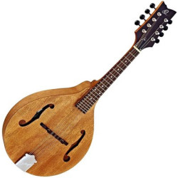 STOCK B -  CORT EARTH E70 OP