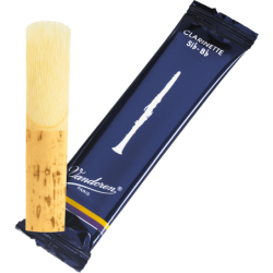 GUITARE CORT MR710 FTF