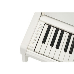 YAMAHA RYDEEN STUDIO 20''...