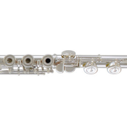 YAMAHA FS800 NT II - Natural