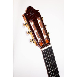 MARCEAU GUITARS DOMINANTE...