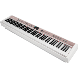 NUX NPK-20-WH  BLANC