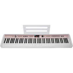 SWIFF AUDIO WS-70 - Système...