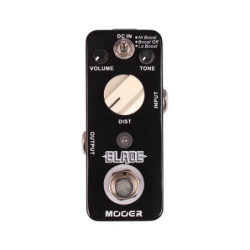 MOOER ANA ECHO