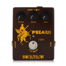 CALINE CP-43 - Pegasus...