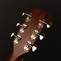 CORT GOLD O6 - Naturel...