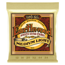 ERNIE BALL 2003 - Earthwood...