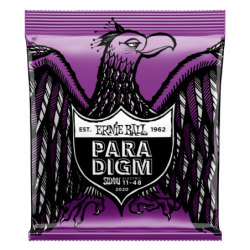 ERNIE BALL 2020 - Paradigm...