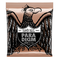 ERNIE BALL 2078 - Paradigm...