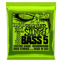 ERNIE BALL 2836 - 5 Cordes...